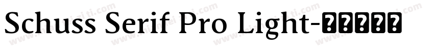 Schuss Serif Pro Light字体转换